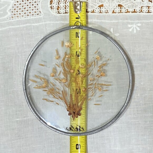 Vtg 70s Pressed Flower Suncatcher for Windows Walls or Altar Vesta - Picture 3 of 6